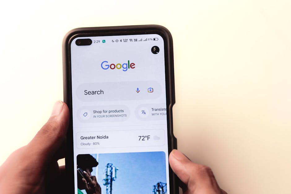 Featured image for How Local Businesses Can Boost Visibility Online